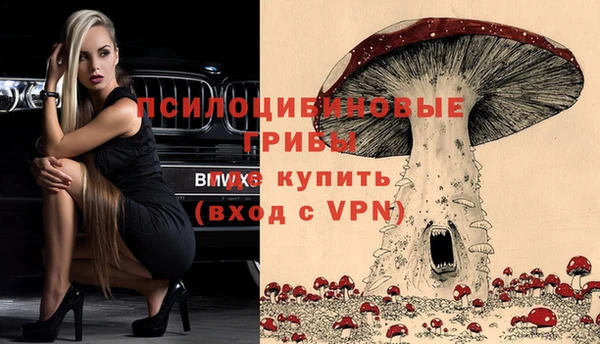 крисы Алзамай