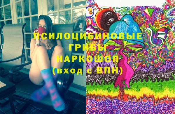 крисы Алзамай