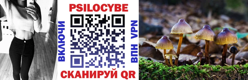 Галлюциногенные грибы MAGIC MUSHROOMS где найти наркотики мега маркетплейс Ладушкин